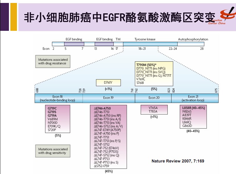 基因突变图.jpg