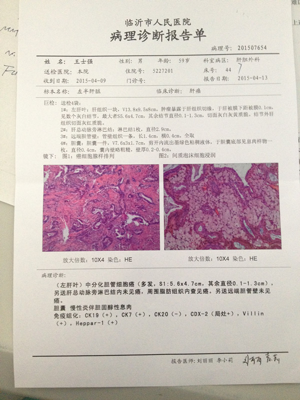 病理报告