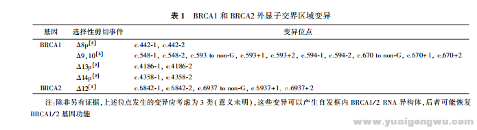 ＢＲＣＡ 数据解读中国专家共识1.png