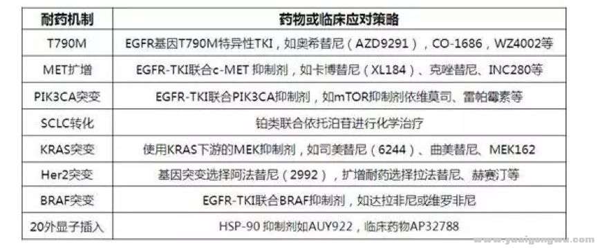 微信图片_20180821195619.jpg