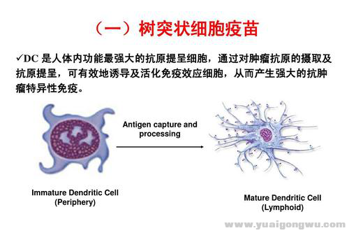 微信图片_20200424231607.png